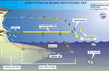 Structure of Shark Prevention Net