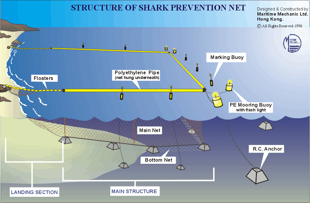 Shark Prevention Nets